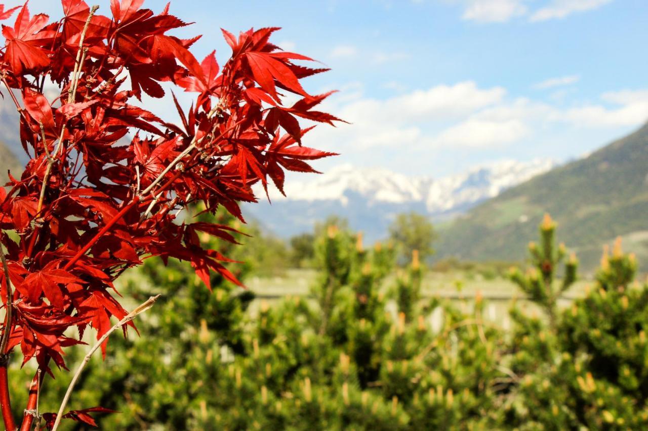 Hof Schupfer - Alpstay Naturns Exterior photo